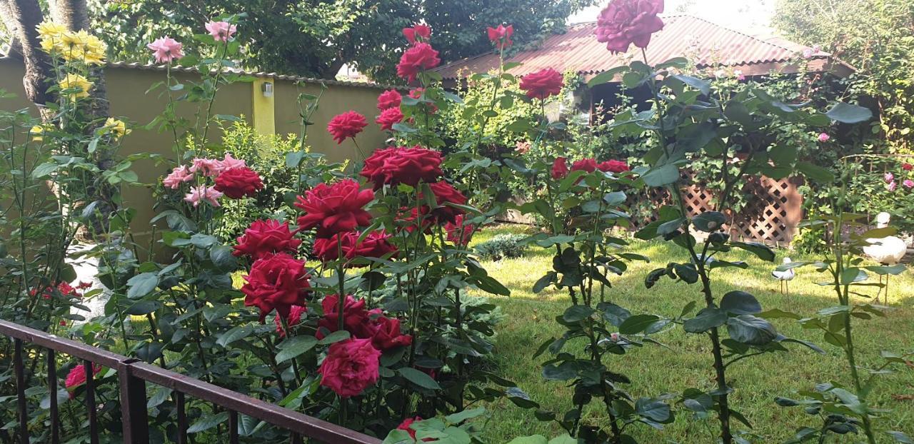 Villa Mugur Două Mai Exterior foto